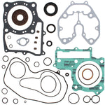 VERTEX GASKET SET & OIL SEALS (811843)