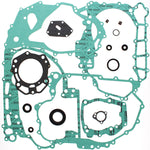 VERTEX GASKET SET & OIL SEALS (811854)