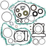 VERTEX GASKET SET & OIL SEALS (811861)