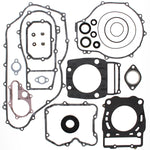 VERTEX GASKET SET & OIL SEALS (811877)