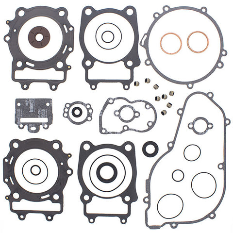 VERTEX GASKET SET & OIL SEALS (811929)