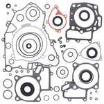 VERTEX GASKET SET & OIL SEALS (811953)