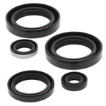 VERTEX ENGINE OIL SEAL KIT (822244)