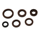 VERTEX ENGINE OIL SEAL KIT (822367)