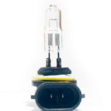 SOLERO BULB