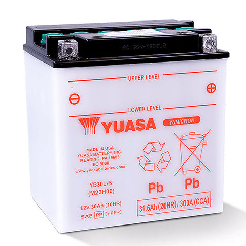 YUASA Yumicron High Performance Battery (YUAM22H30)