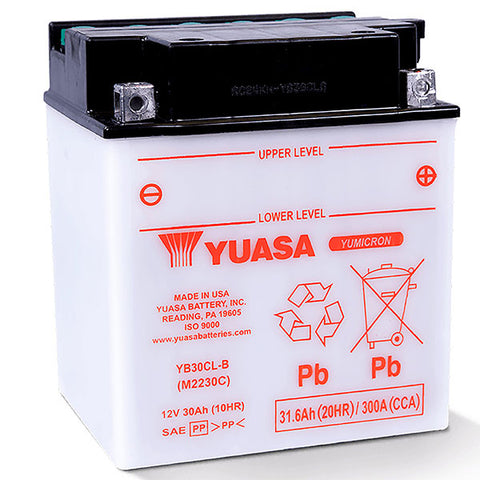YUASA Yumicron High Performance Battery (YUAM2230C)