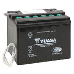 YUASA Conventional Battery (YUAM22H12TWN)