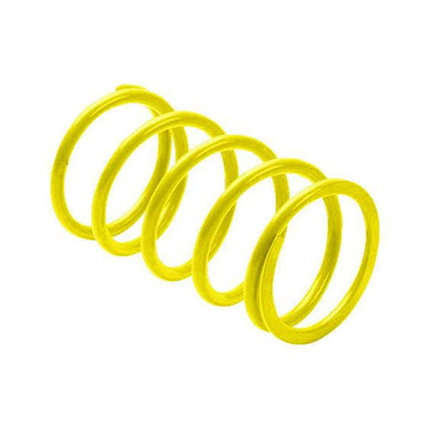 EPI SECONDARY DRIVEN CLUTCH SPRING